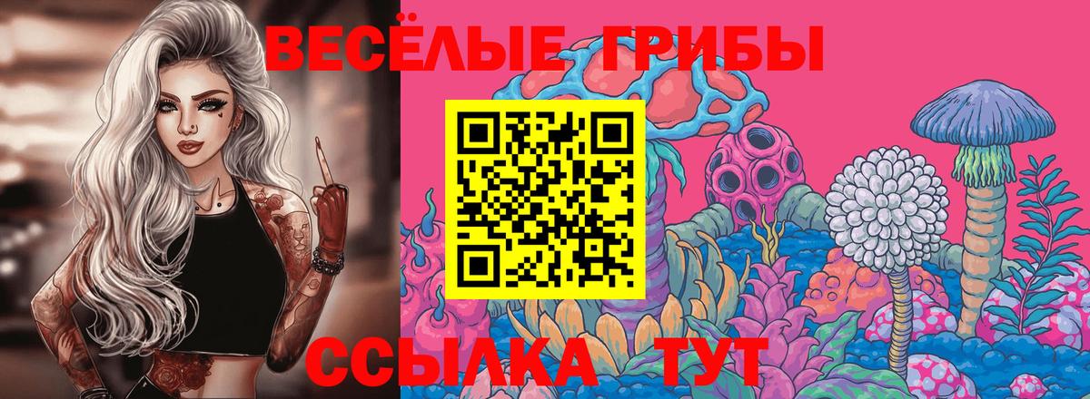 Псилоцибиновые грибы Magic Shrooms  Псилоцибиновые грибы MAGIC MUSHROOMS  Шатура  Вход с VPN 