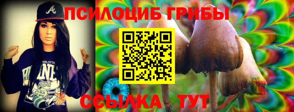 Псилоцибиновые грибы прущие грибы Шатура